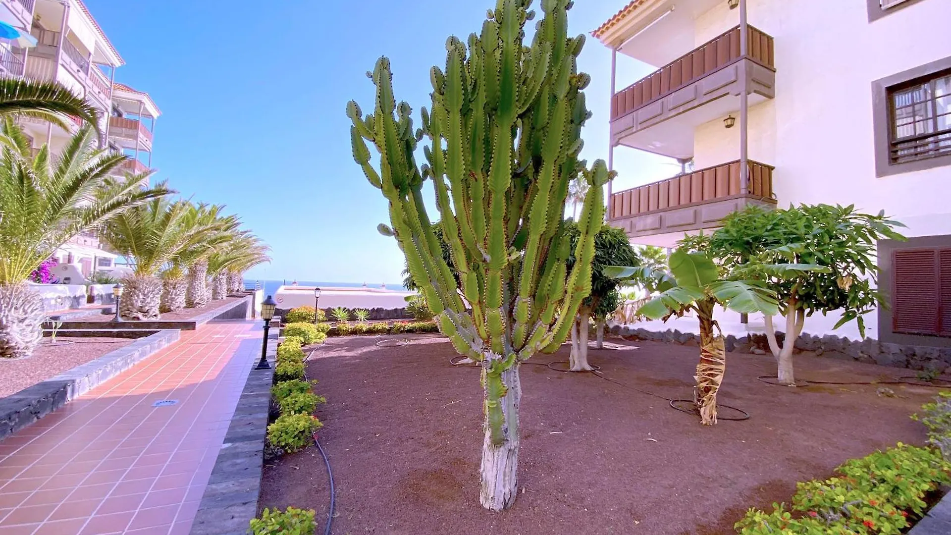 Tropicalidays Costa Mar Apartment Costa Del Silencio
